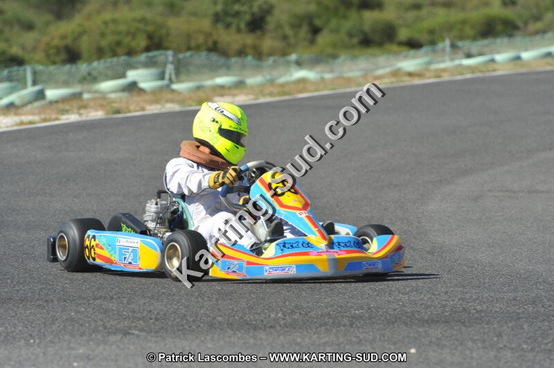 DSC (2741).JPG